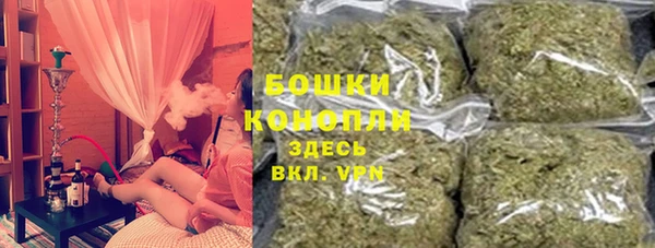 прущие грибы Аркадак